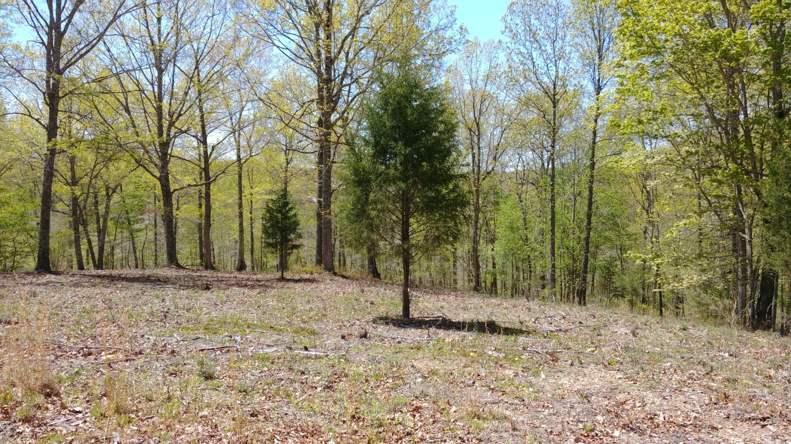13 Benton Tidwell Road Hilham, TN 38568 - Photo 1 of 38 Gallery Image 1