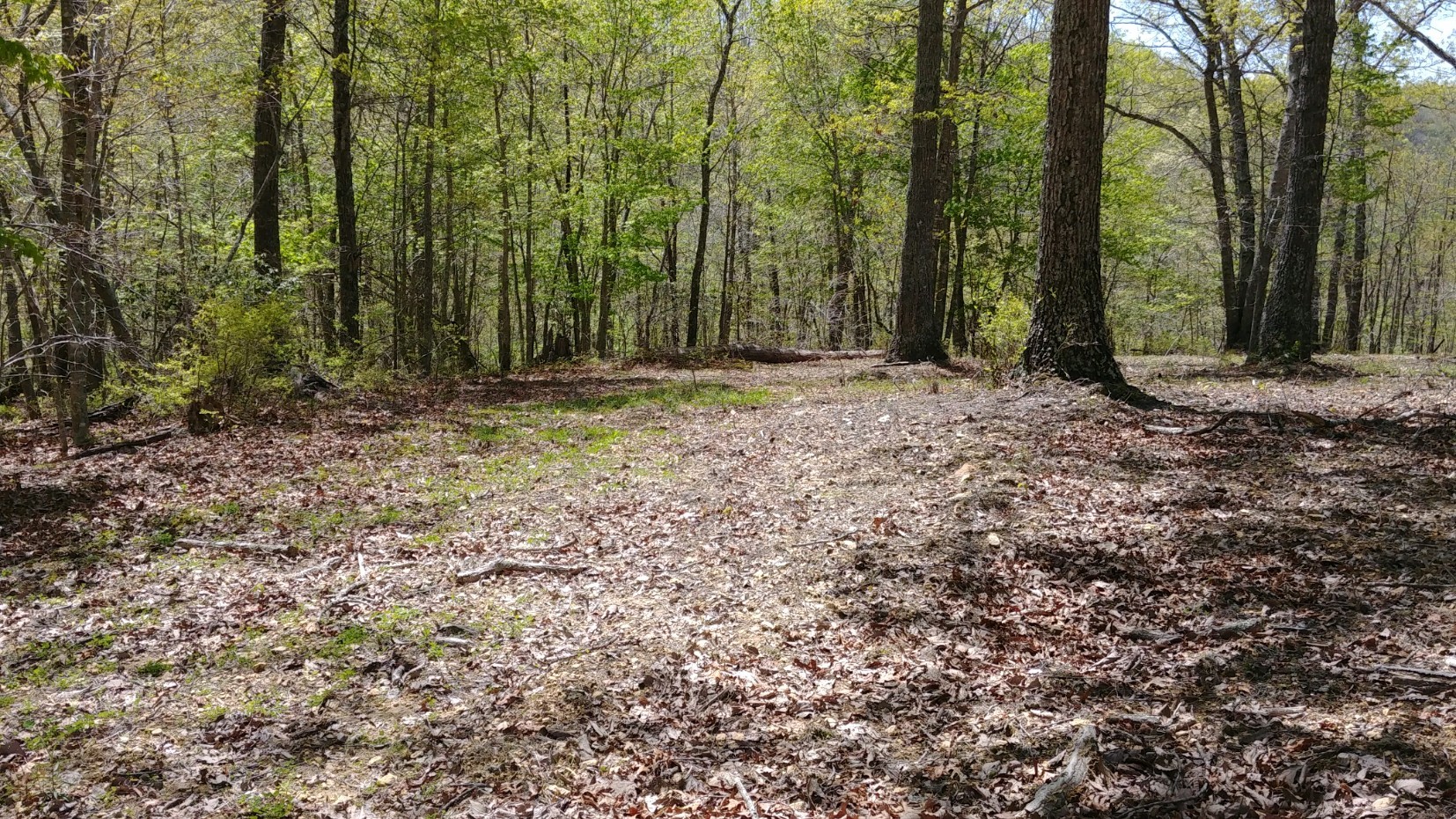 13 Benton Tidwell Road Hilham, TN 38568 - Photo 2 of 38 Gallery Image 2