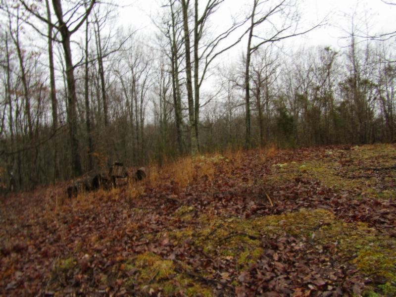 13 Benton Tidwell Road Hilham, TN 38568 - Photo 11 of 38 Gallery Image 11
