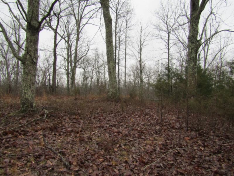 13 Benton Tidwell Road Hilham, TN 38568 - Photo 12 of 38 Gallery Image 12