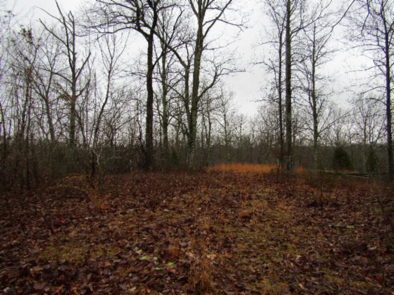 13 Benton Tidwell Road Hilham, TN 38568 - Photo 13 of 38 Gallery Image 13