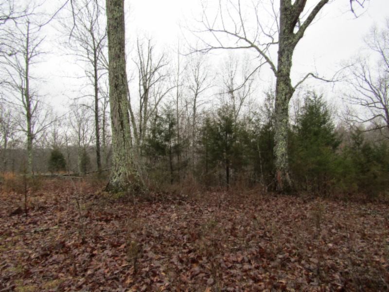 13 Benton Tidwell Road Hilham, TN 38568 - Photo 14 of 38 Gallery Image 14