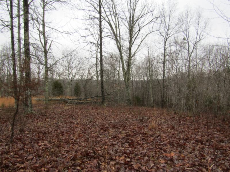 13 Benton Tidwell Road Hilham, TN 38568 - Photo 15 of 38 Gallery Image 15