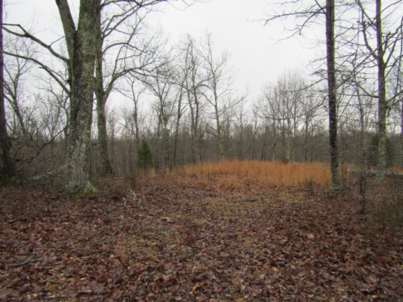 13 Benton Tidwell Road Hilham, TN 38568 - Photo 16 of 38 Gallery Image 16