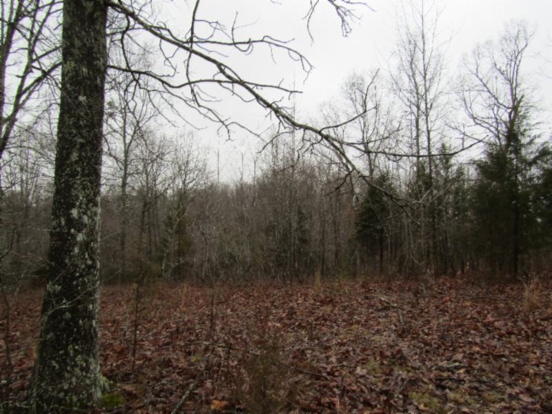13 Benton Tidwell Road Hilham, TN 38568 - Photo 18 of 38 Gallery Image 18