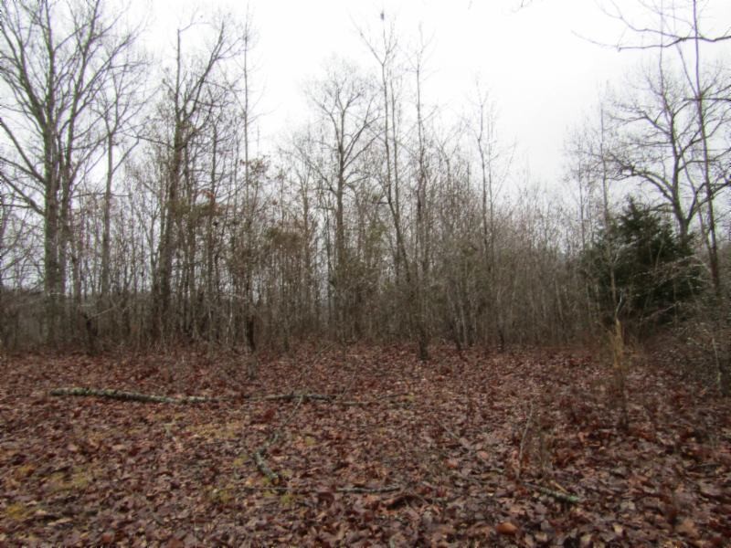 13 Benton Tidwell Road Hilham, TN 38568 - Photo 19 of 38 Gallery Image 19