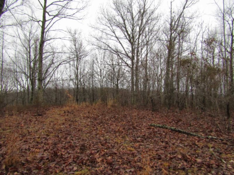 13 Benton Tidwell Road Hilham, TN 38568 - Photo 20 of 38 Gallery Image 20