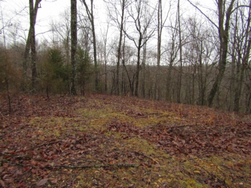 13 Benton Tidwell Road Hilham, TN 38568 - Photo 21 of 38 Gallery Image 21