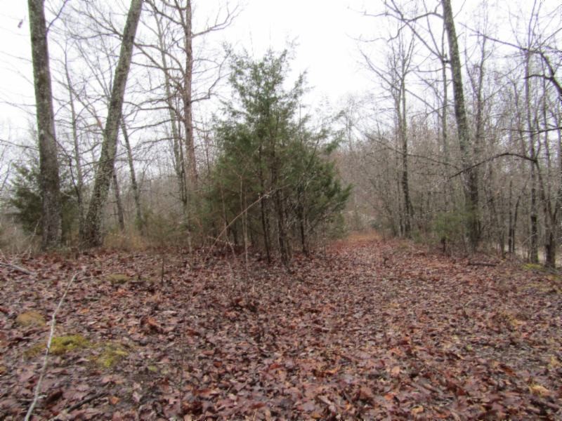 13 Benton Tidwell Road Hilham, TN 38568 - Photo 22 of 38 Gallery Image 22