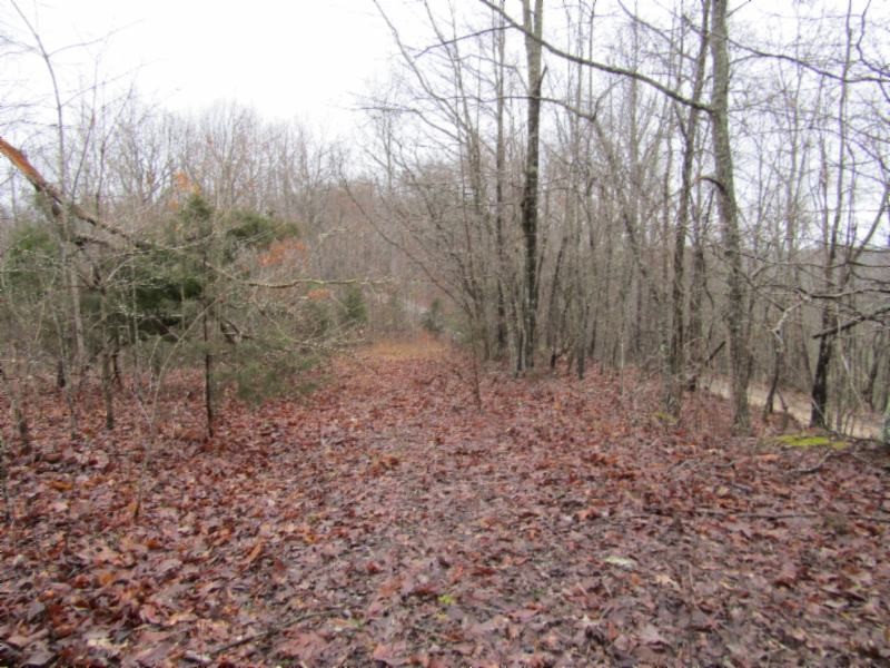 13 Benton Tidwell Road Hilham, TN 38568 - Photo 23 of 38 Gallery Image 23