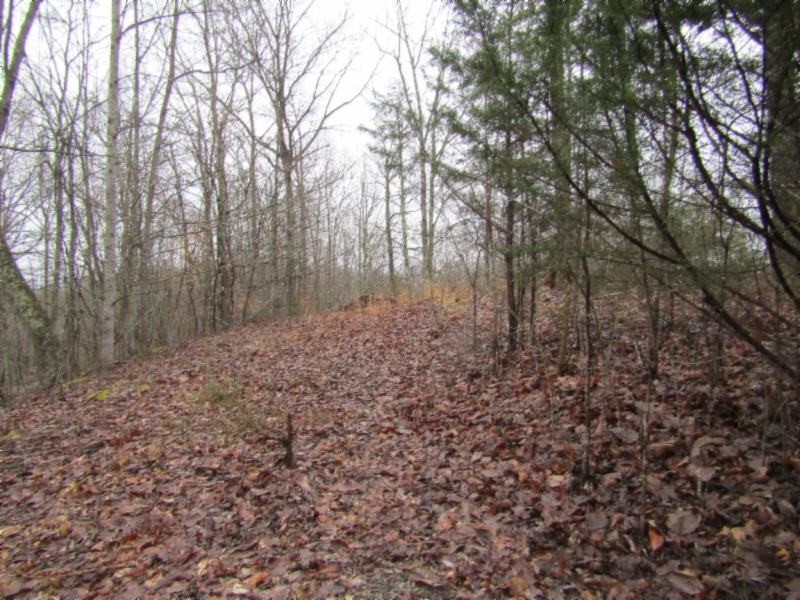 13 Benton Tidwell Road Hilham, TN 38568 - Photo 24 of 38 Gallery Image 24