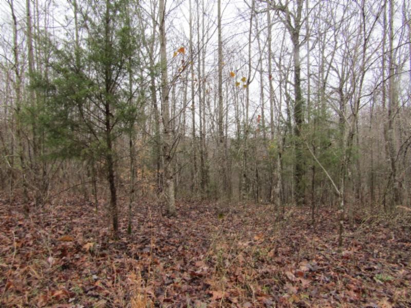 13 Benton Tidwell Road Hilham, TN 38568 - Photo 25 of 38 Gallery Image 25