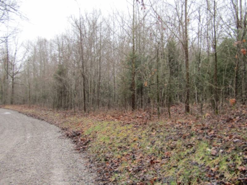 13 Benton Tidwell Road Hilham, TN 38568 - Photo 27 of 38 Gallery Image 27