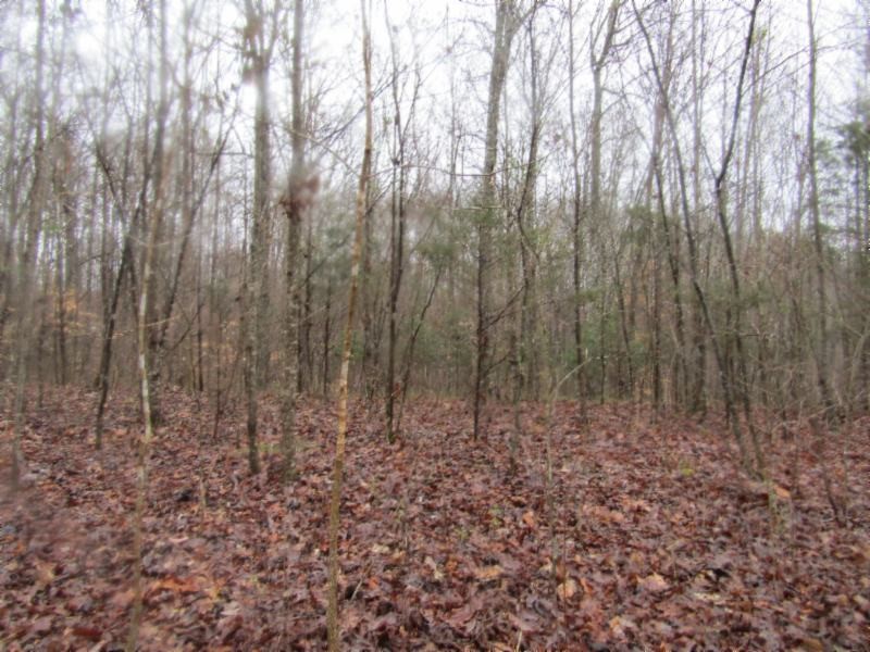 13 Benton Tidwell Road Hilham, TN 38568 - Photo 30 of 38 Gallery Image 30