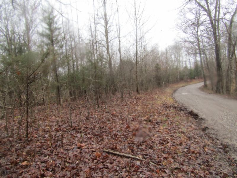 13 Benton Tidwell Road Hilham, TN 38568 - Photo 31 of 38 Gallery Image 31