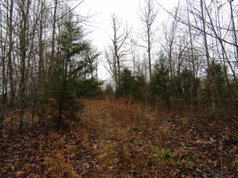13 Benton Tidwell Road Hilham, TN 38568 - Photo 8 of 38 Gallery Image 8