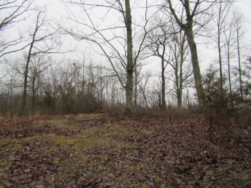 13 Benton Tidwell Road Hilham, TN 38568 - Photo 10 of 38 Gallery Image 10
