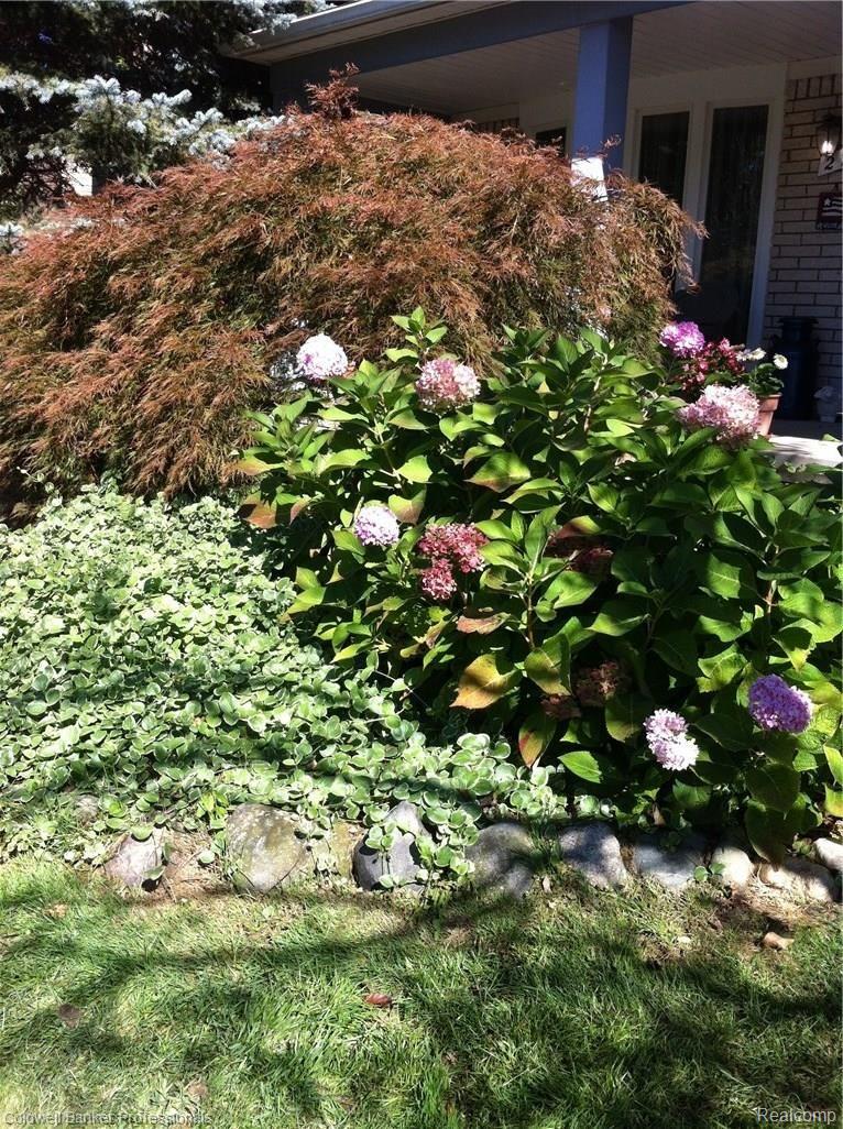 2784 Winter Park Road Rochester, MI 48309 - Photo 58 of 63 photo 9.JPG