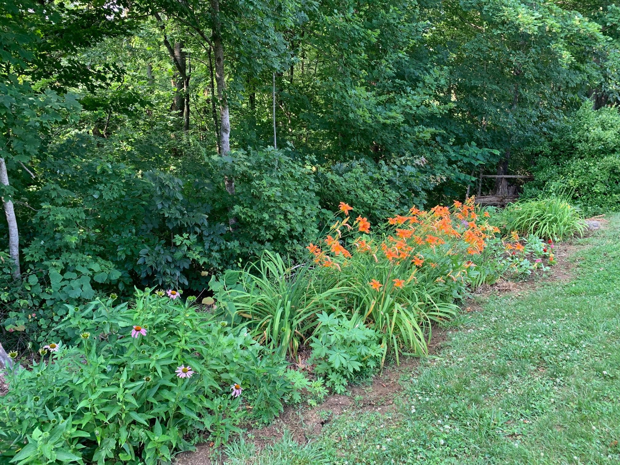 9303 Cameron Road Mascot, TN 37806 - Photo 27 of 34 Gallery Image 27