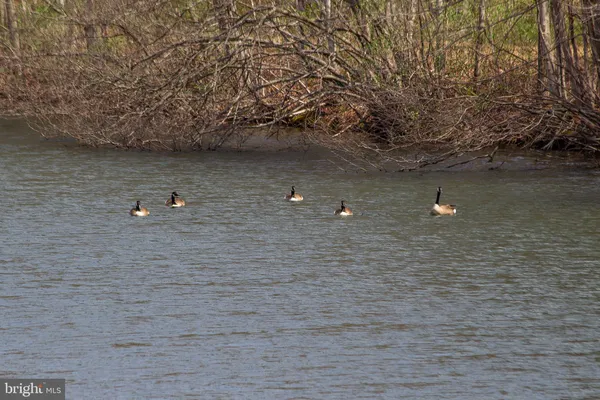 $849,900 | 11907 Colyer Lane, Shade Gap, PA 17255