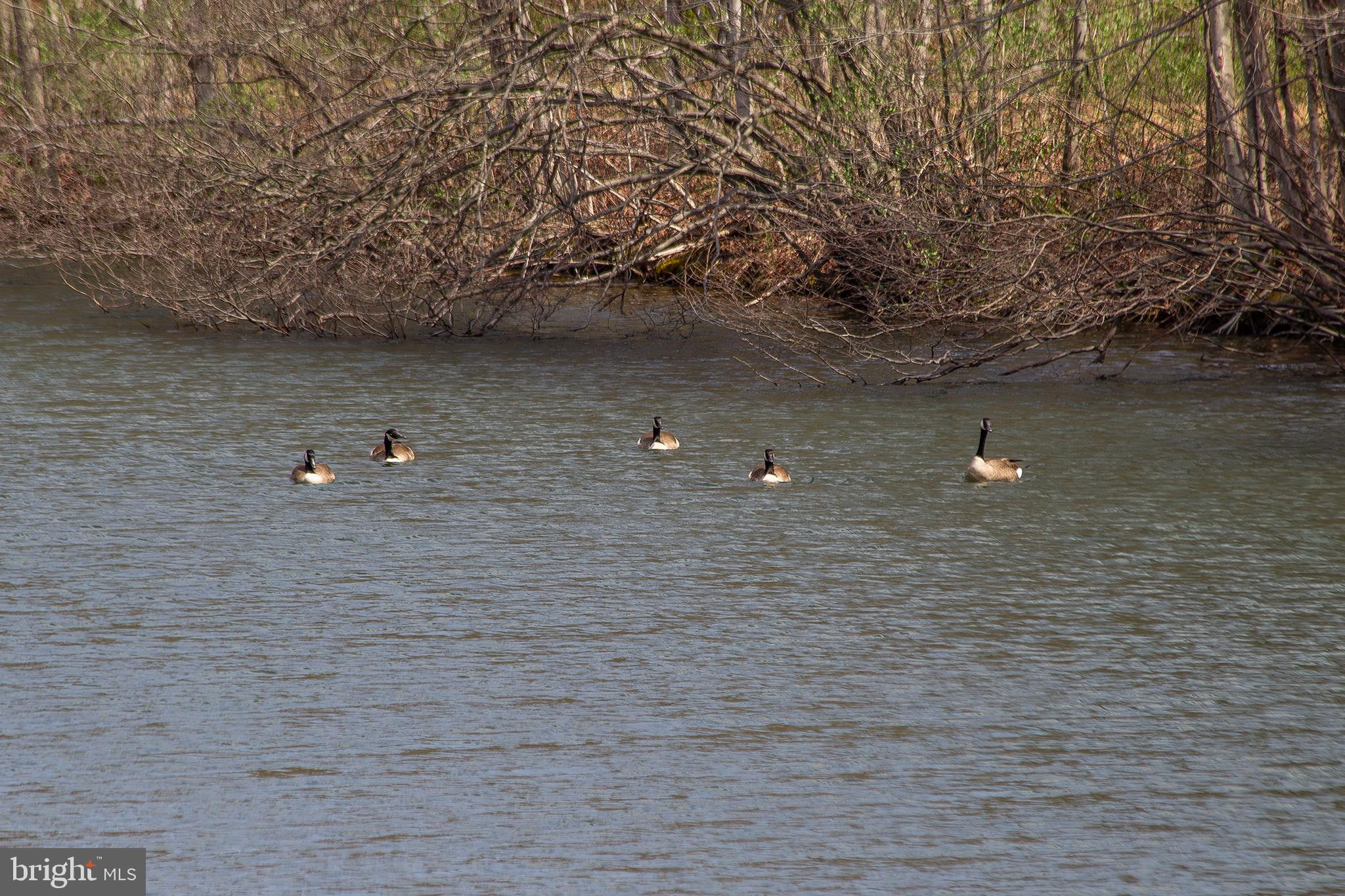 11907 Colyer Lane Shade Gap, PA 17255 - Photo 66 of 87 a view of a lake view