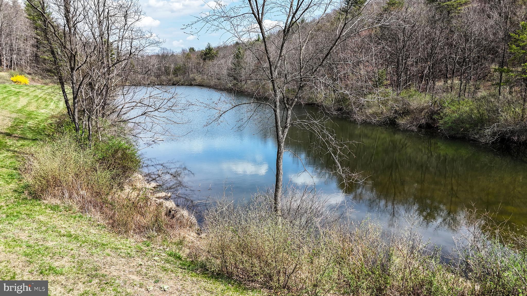 11907 Colyer Lane Shade Gap, PA 17255 - Photo 73 of 87 a view of a lake with a yard and large trees