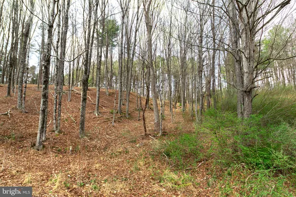 $849,900 | 11907 Colyer Lane, Shade Gap, PA 17255