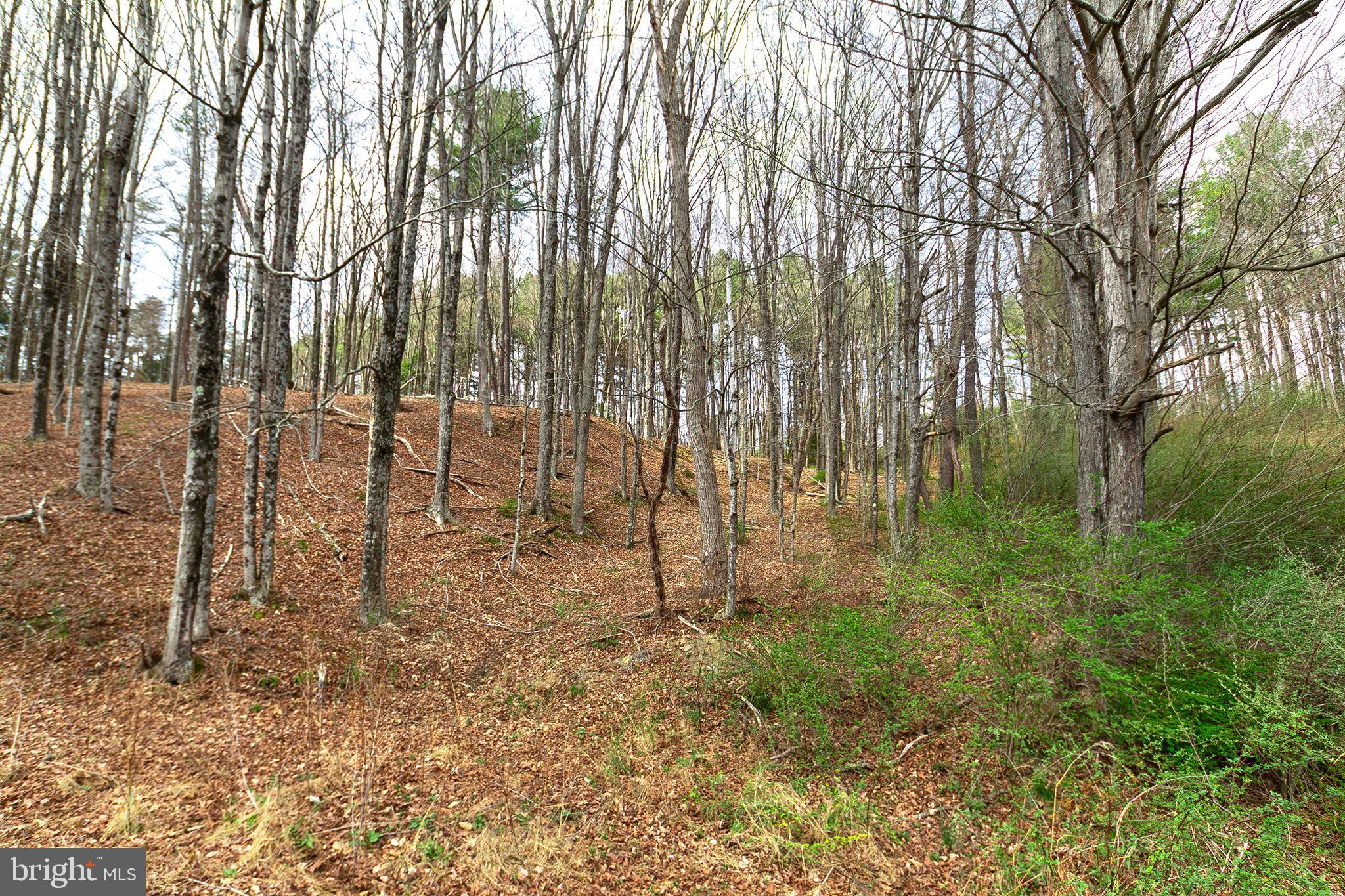 11907 Colyer Lane Shade Gap, PA 17255 - Photo 77 of 87