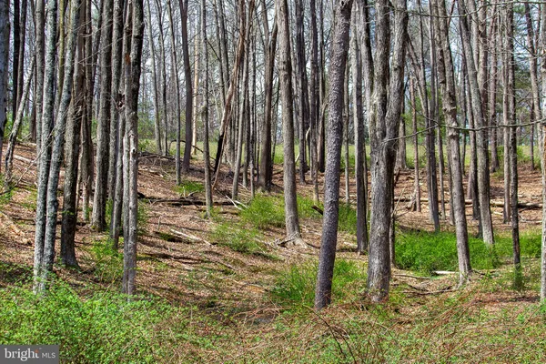 $849,900 | 11907 Colyer Lane, Shade Gap, PA 17255