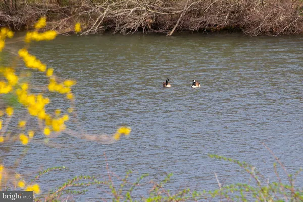 $849,900 | 11907 Colyer Lane, Shade Gap, PA 17255