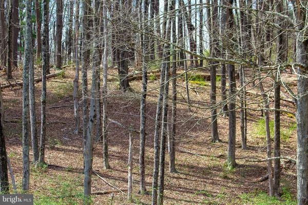 $849,900 | 11907 Colyer Lane, Shade Gap, PA 17255