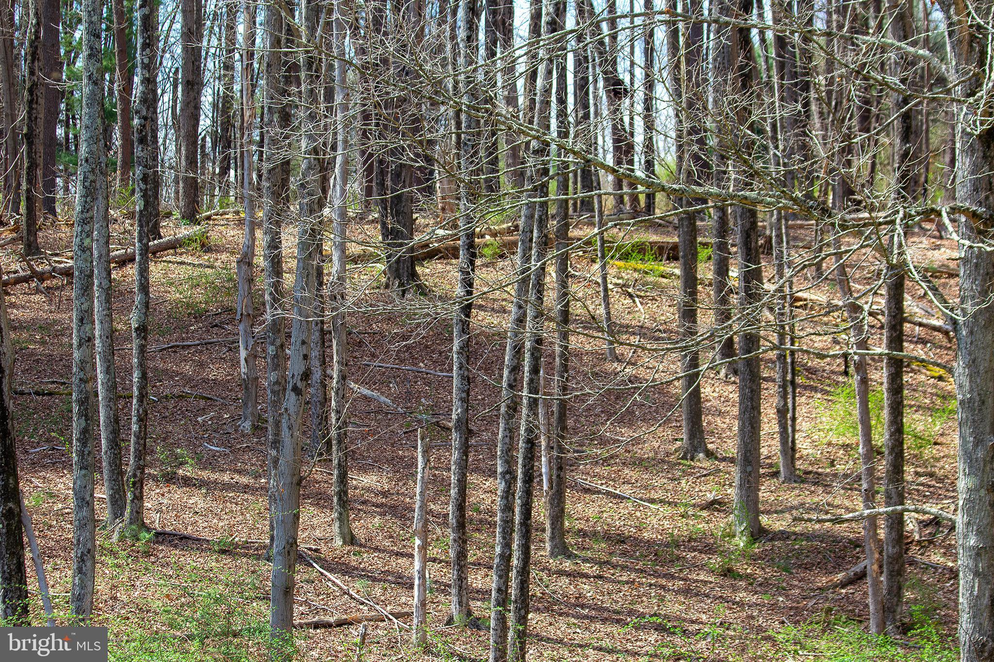 11907 Colyer Lane Shade Gap, PA 17255 - Photo 82 of 87