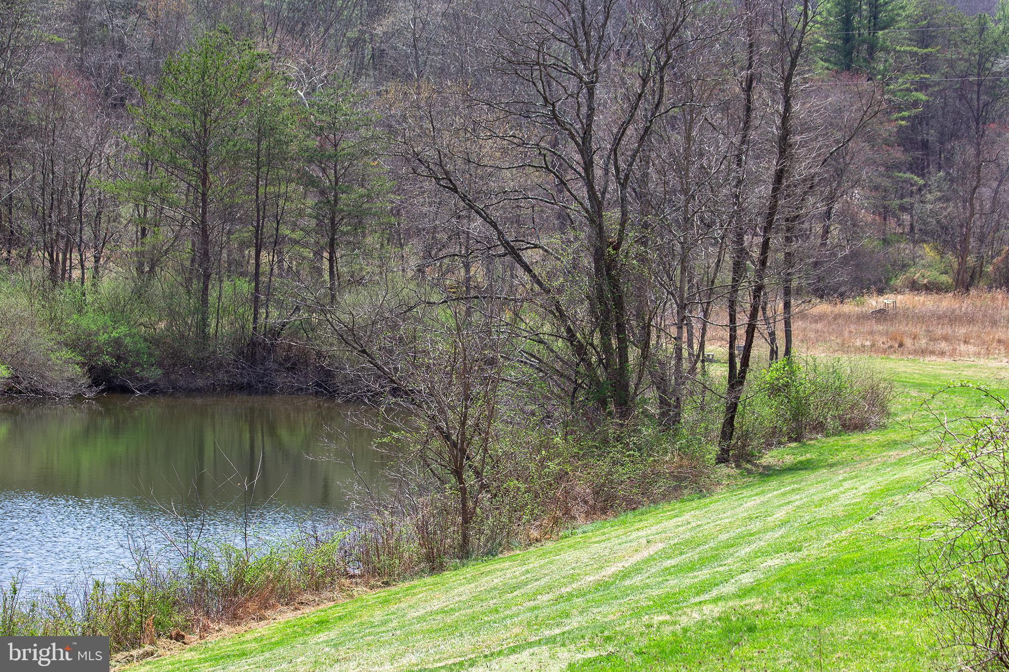11907 Colyer Lane Shade Gap, PA 17255 - Photo 83 of 87 a view of a lake with a yard