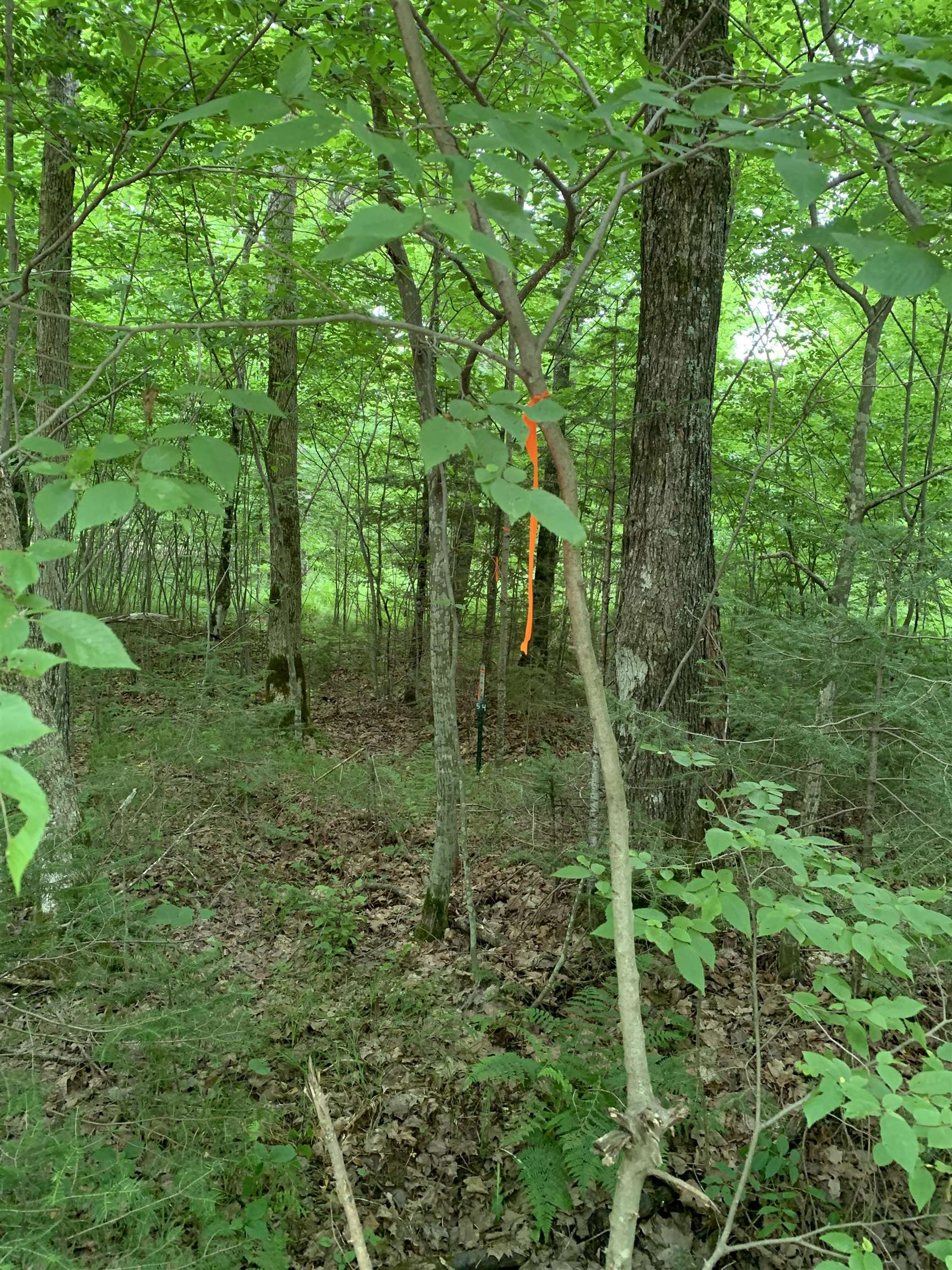 0 Smt Wds Lane Gleason, WI 54435 - Photo 12 of 17