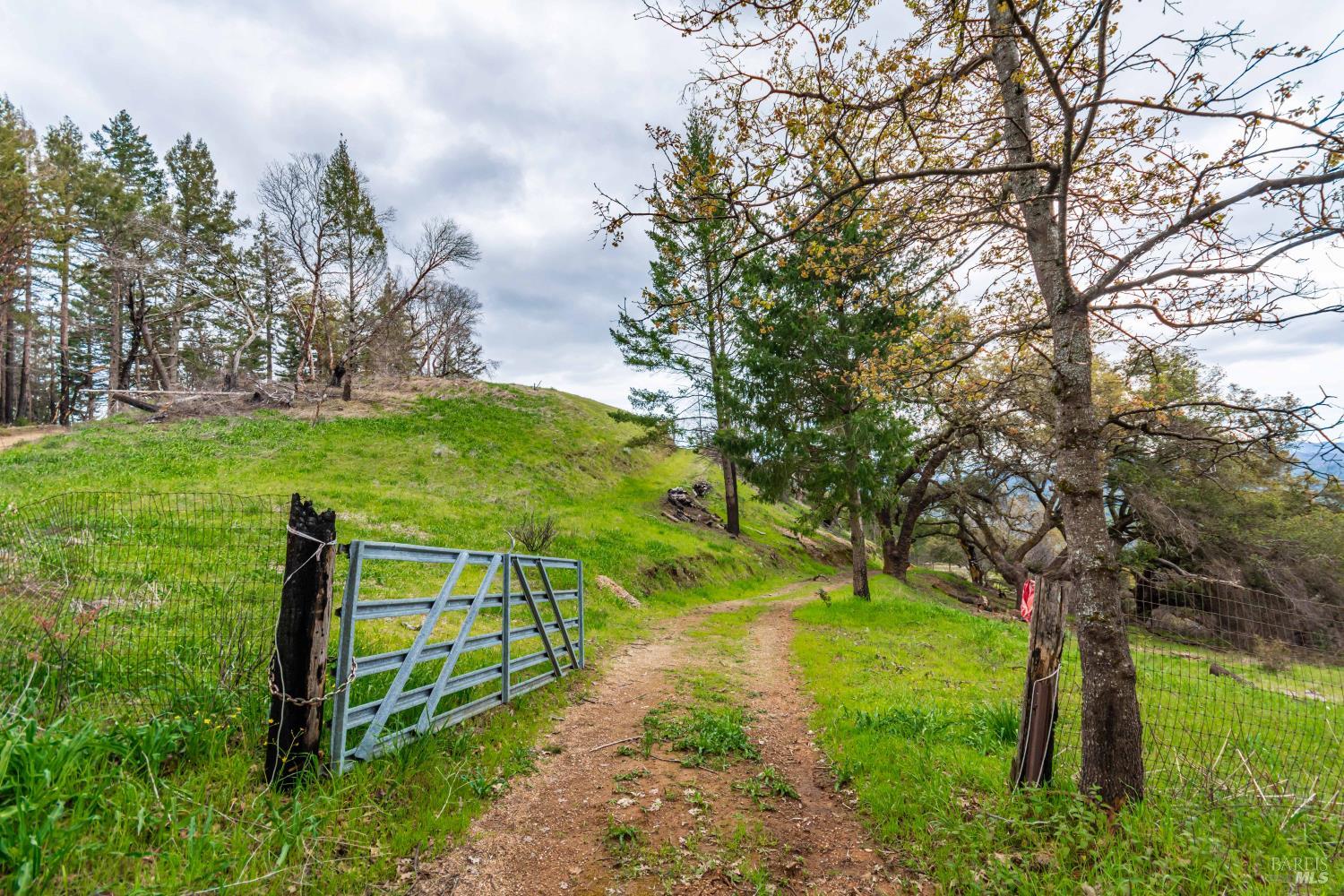 1401 Big Ridge Road Healdsburg, CA 95448 - Photo 72 of 86