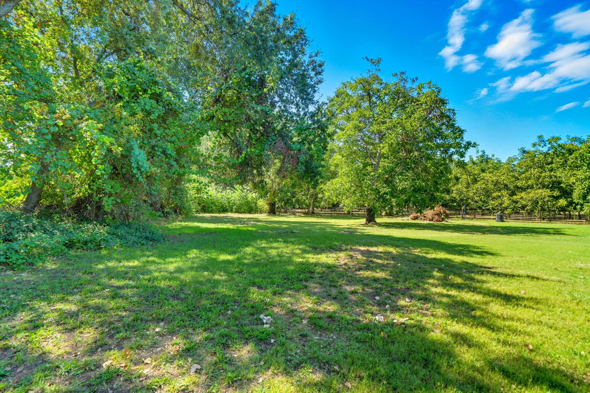 25031 Kauffman Avenue Red Bluff, CA 96080 - Photo 38 of 57 backyard