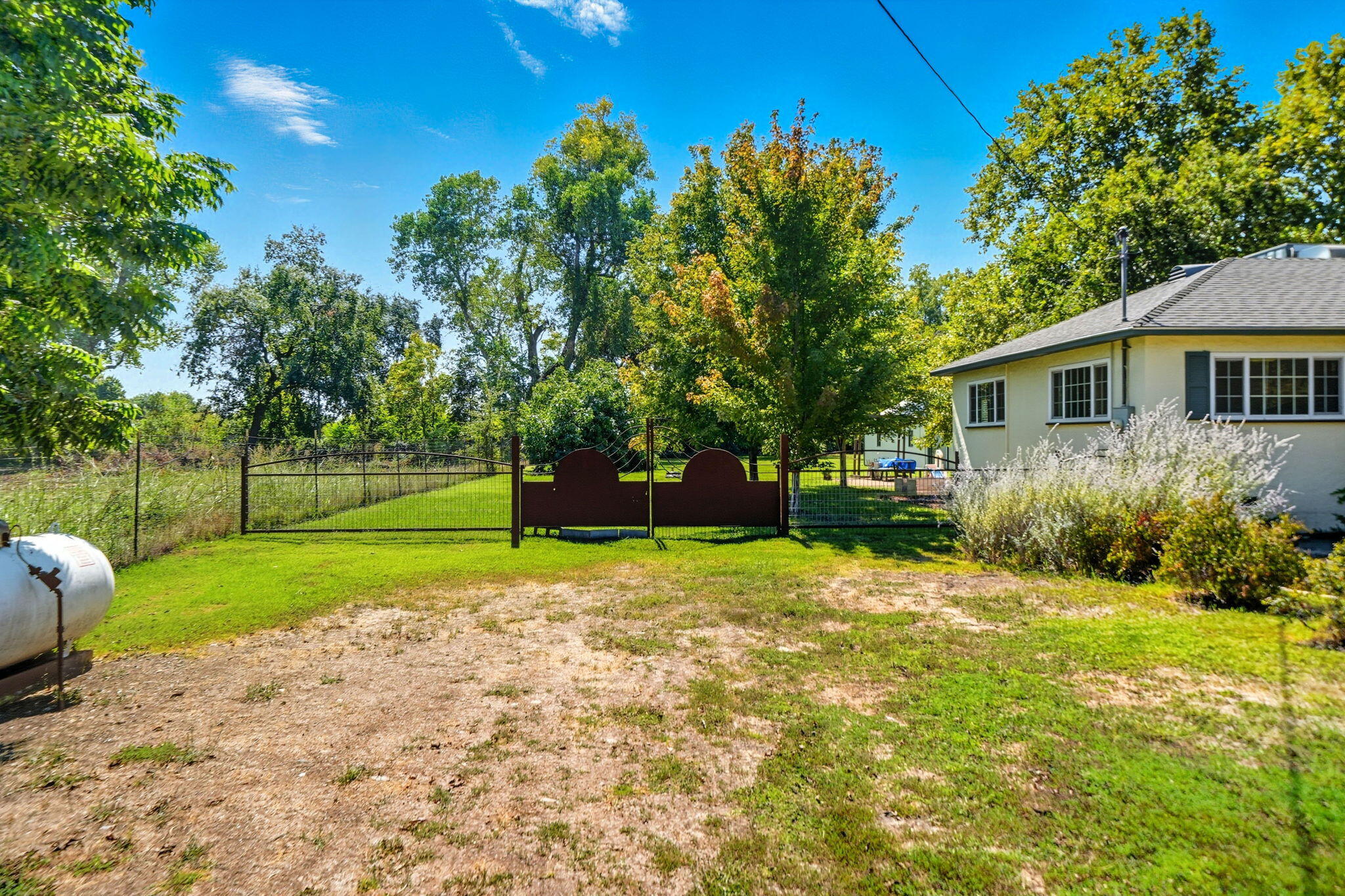 25031 Kauffman Avenue Red Bluff, CA 96080 - Photo 41 of 57 backyard