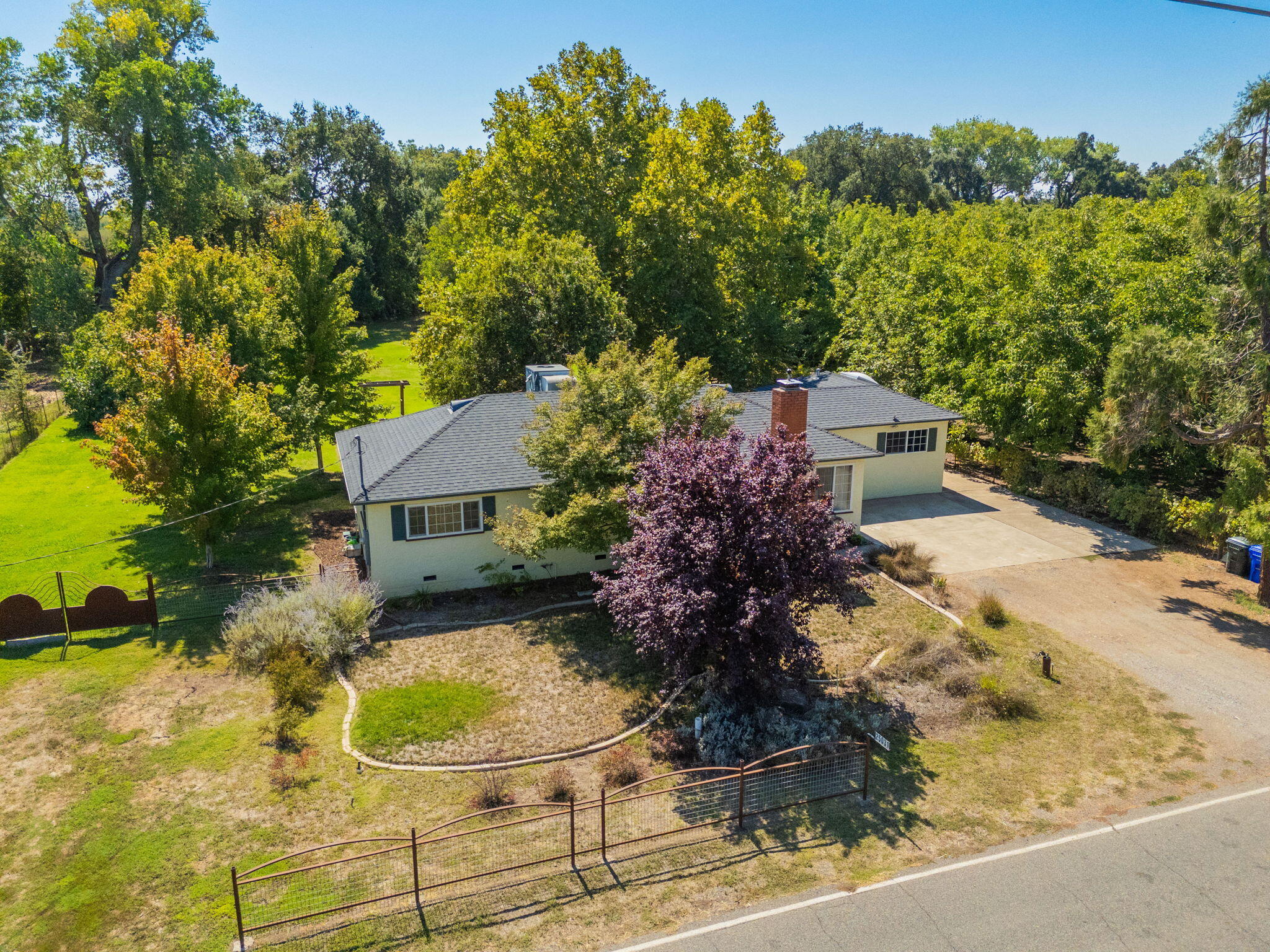 25031 Kauffman Avenue Red Bluff, CA 96080 - Photo 47 of 57 Front yard & landscaping