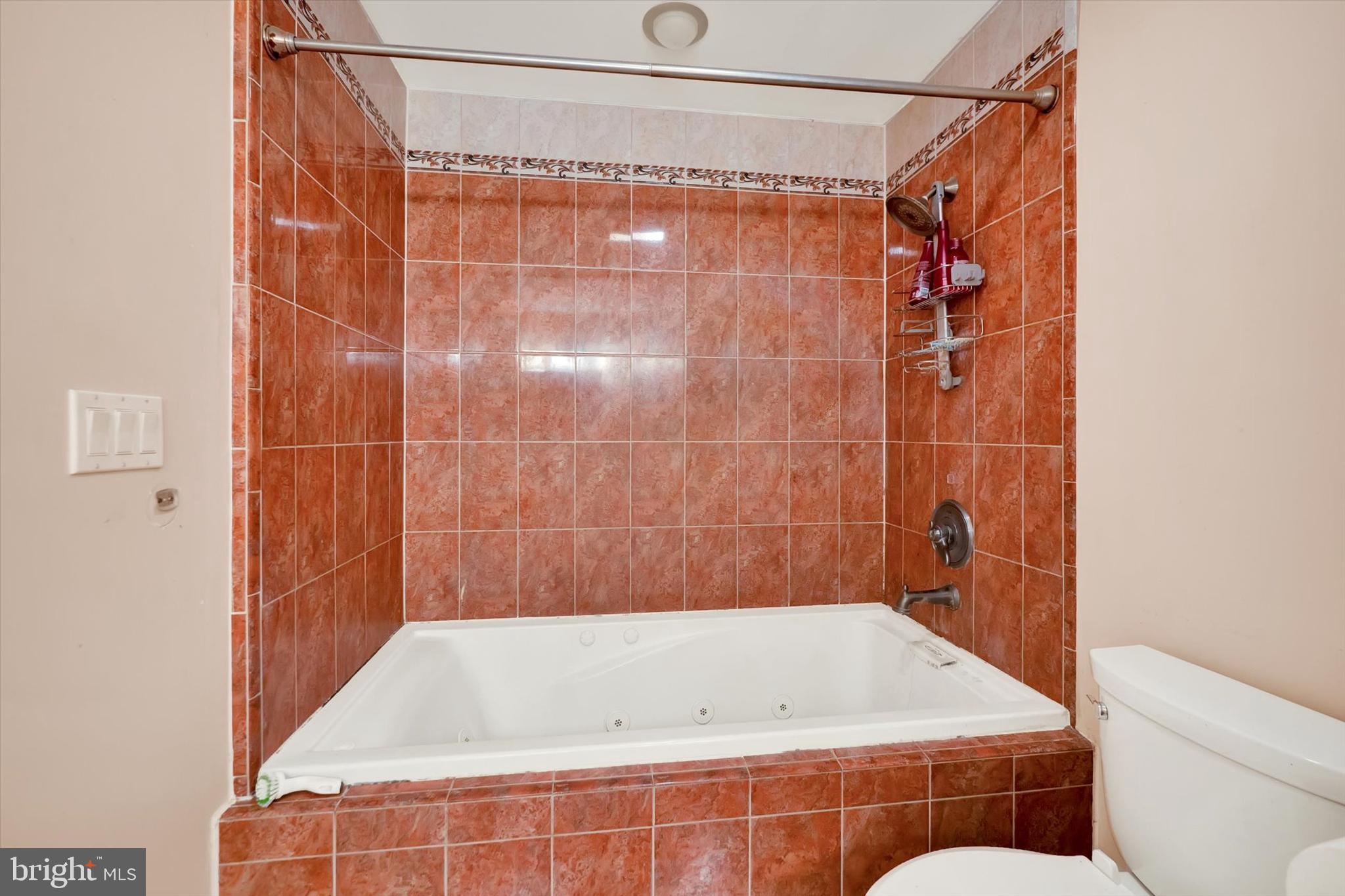 20331 Townsend Road Rohrersville, MD 21779 - Photo 20 of 28 Jetted Tub