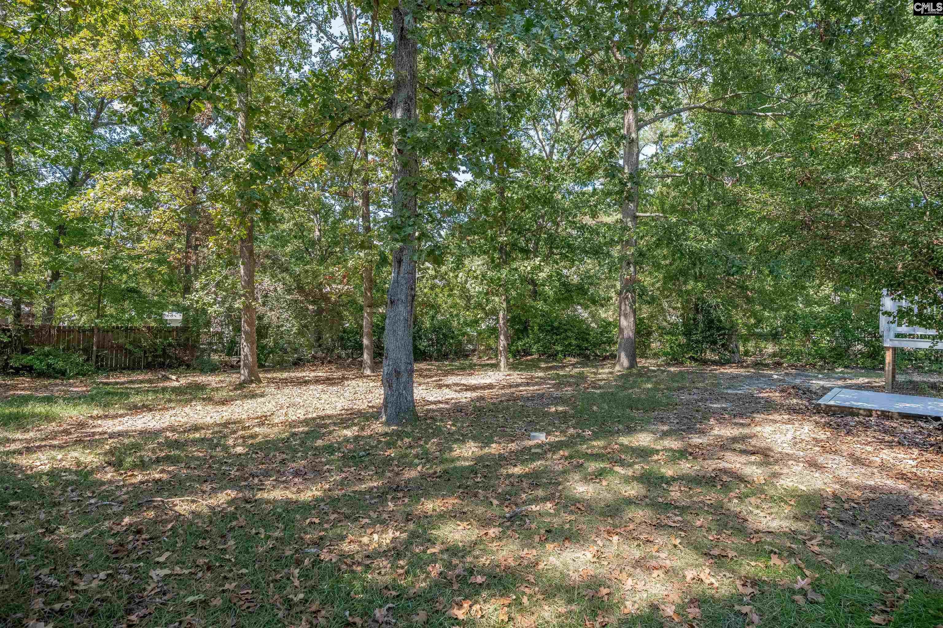 204 River Song Road Irmo, SC 29063 - Photo 33 of 36 Gallery Image 33