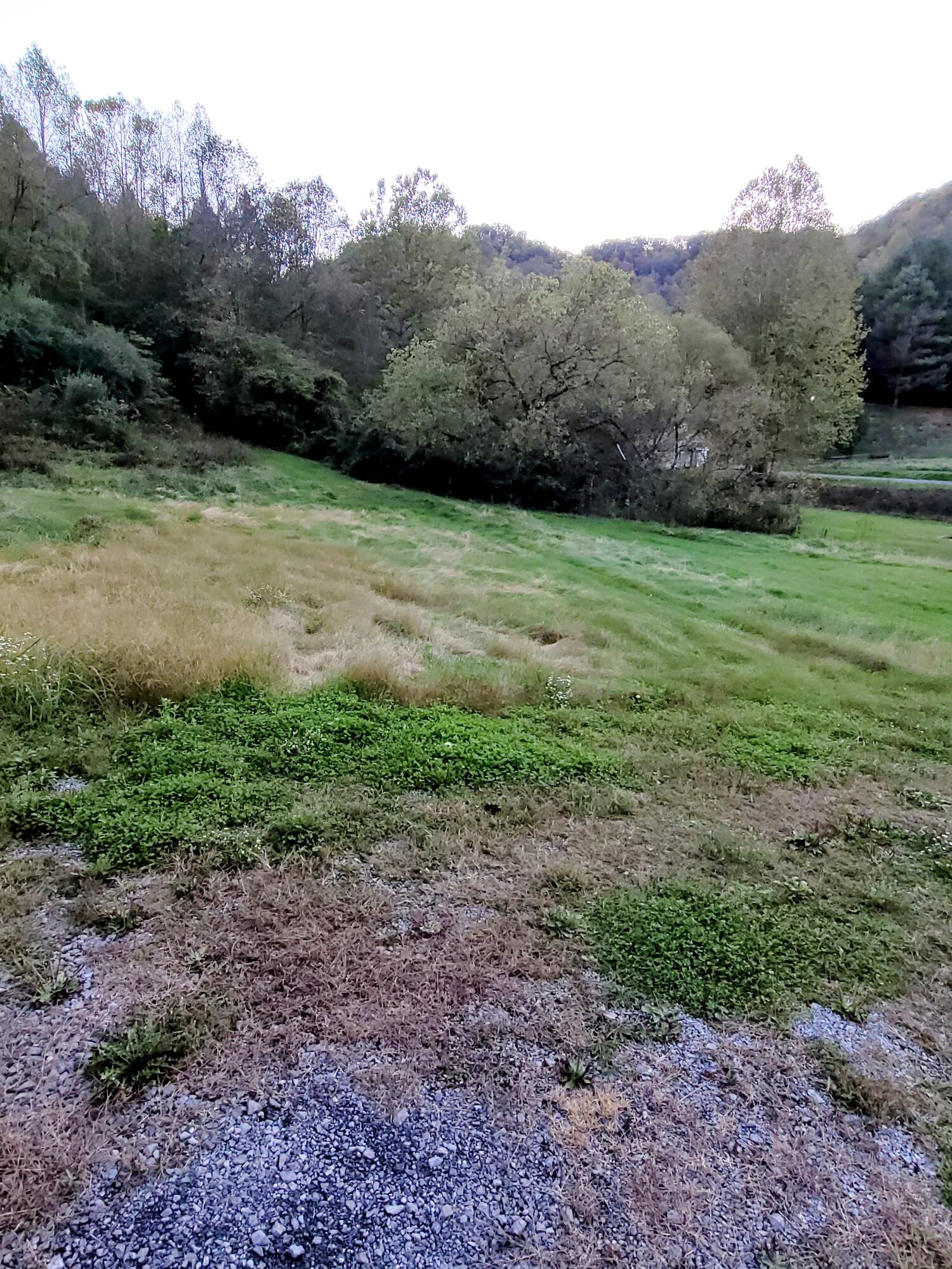 189 Richard Long Road Dante, VA 24237 - Photo 5 of 34 20211017_183501