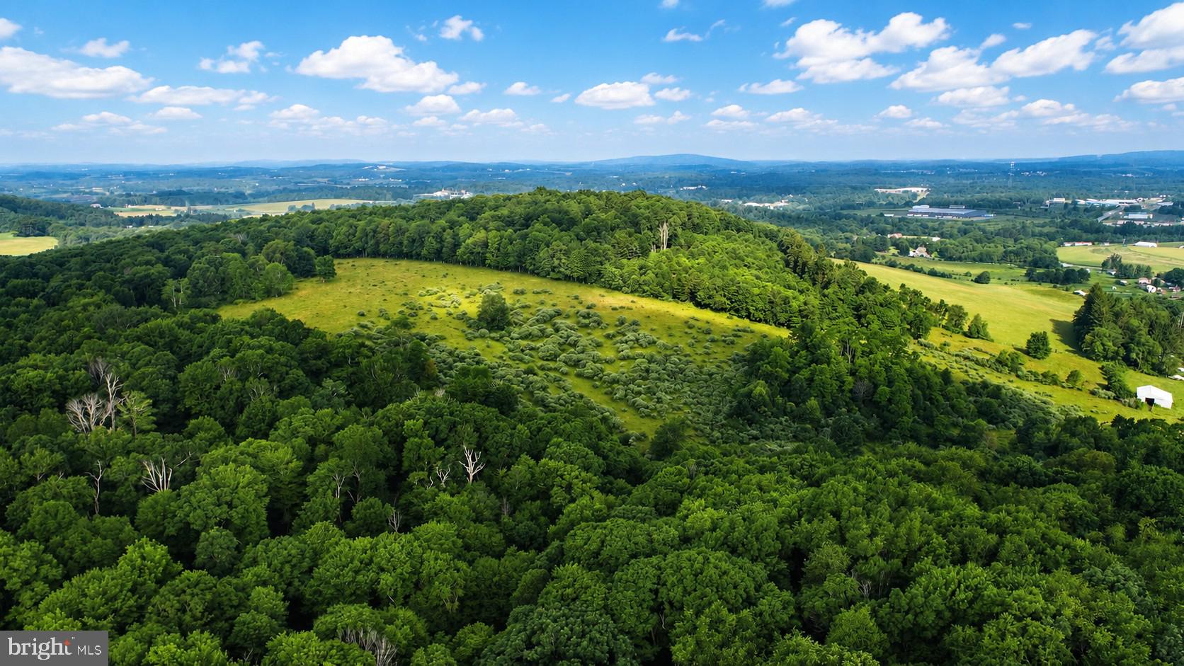 97-acres Lot C 97-acres Road Oakland, MD 21550 - Photo 13 of 21