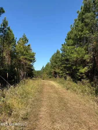 $815,871 | Ms-32, Water Valley, MS 38965