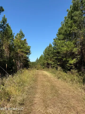 $815,871 | Ms-32, Water Valley, MS 38965