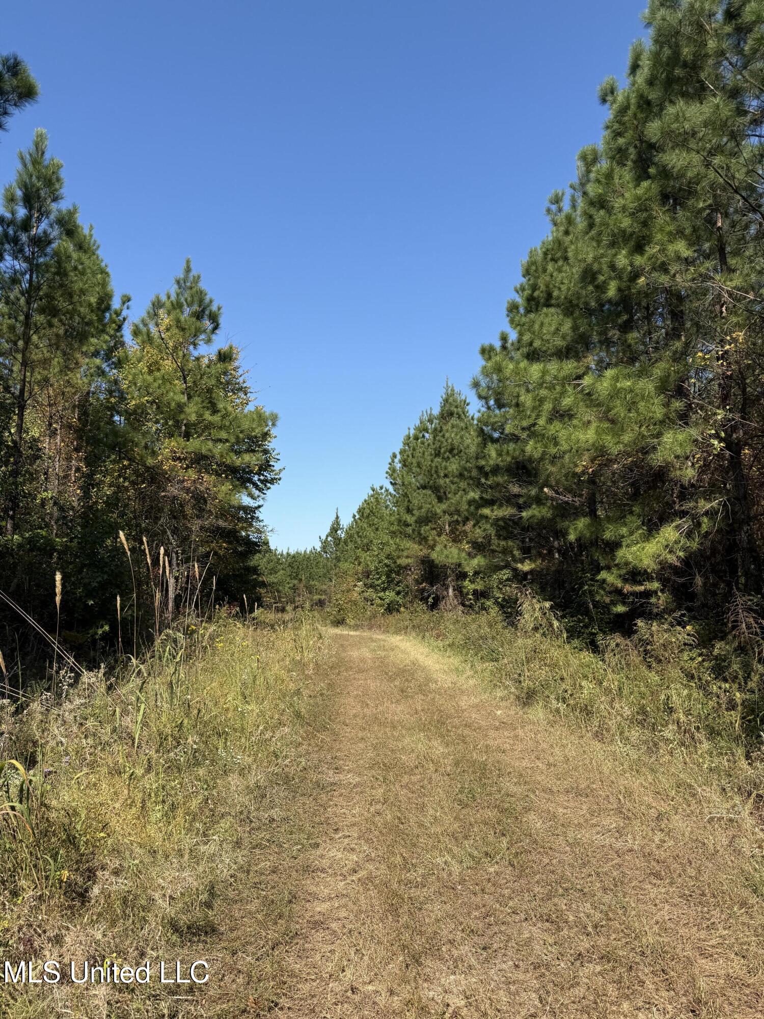 Ms-32 Water Valley, MS 38965 - Photo 11 of 21 Photo Oct 23 2024, 12 23 40 PM AVOID 281