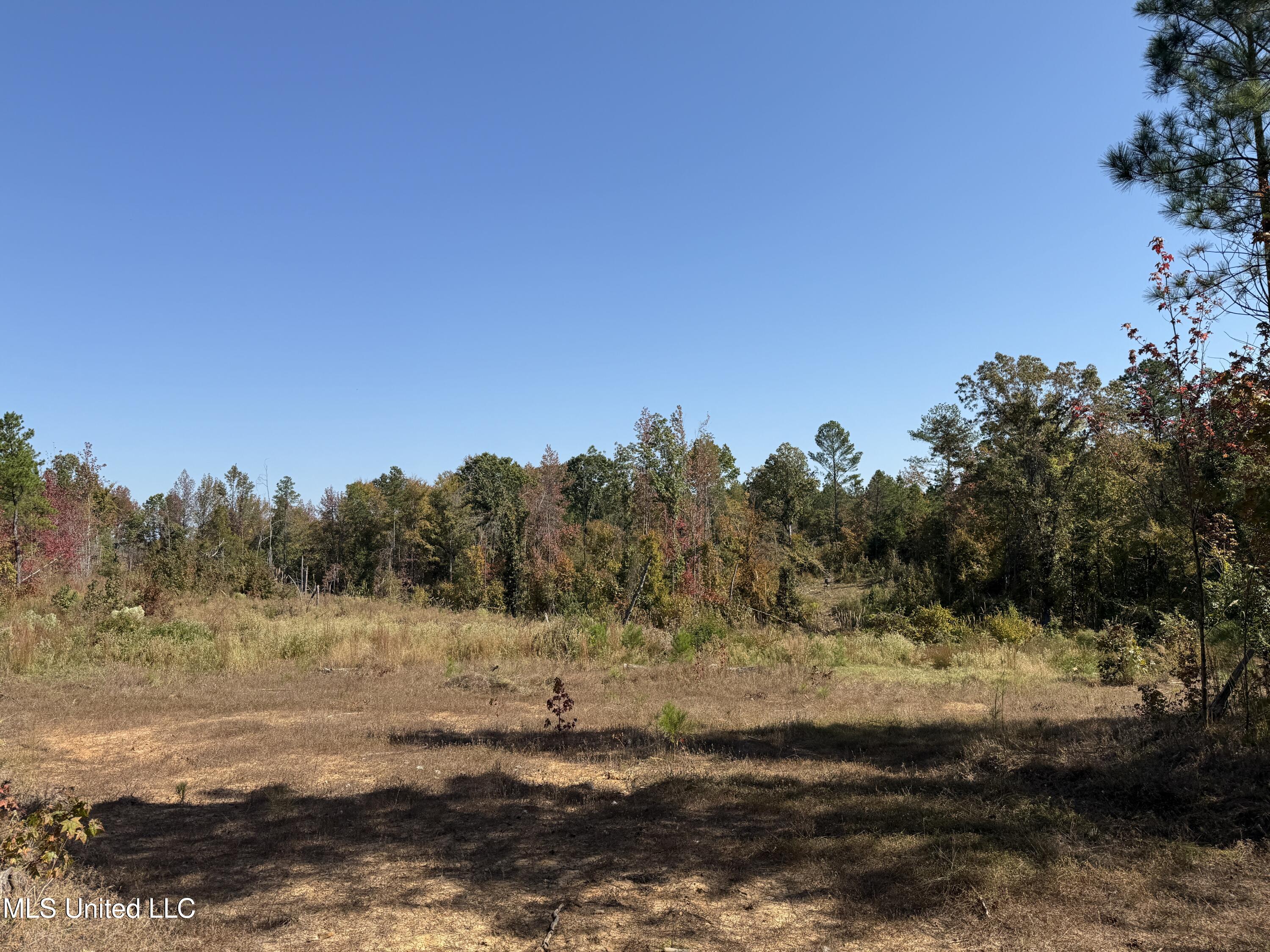 Ms-32 Water Valley, MS 38965 - Photo 13 of 21 Photo Oct 23 2024, 12 24 55 PM AVOID 281