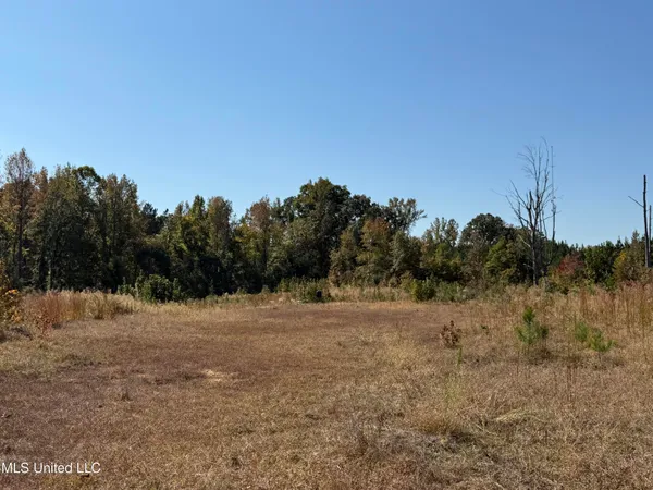 $815,871 | Ms-32, Water Valley, MS 38965