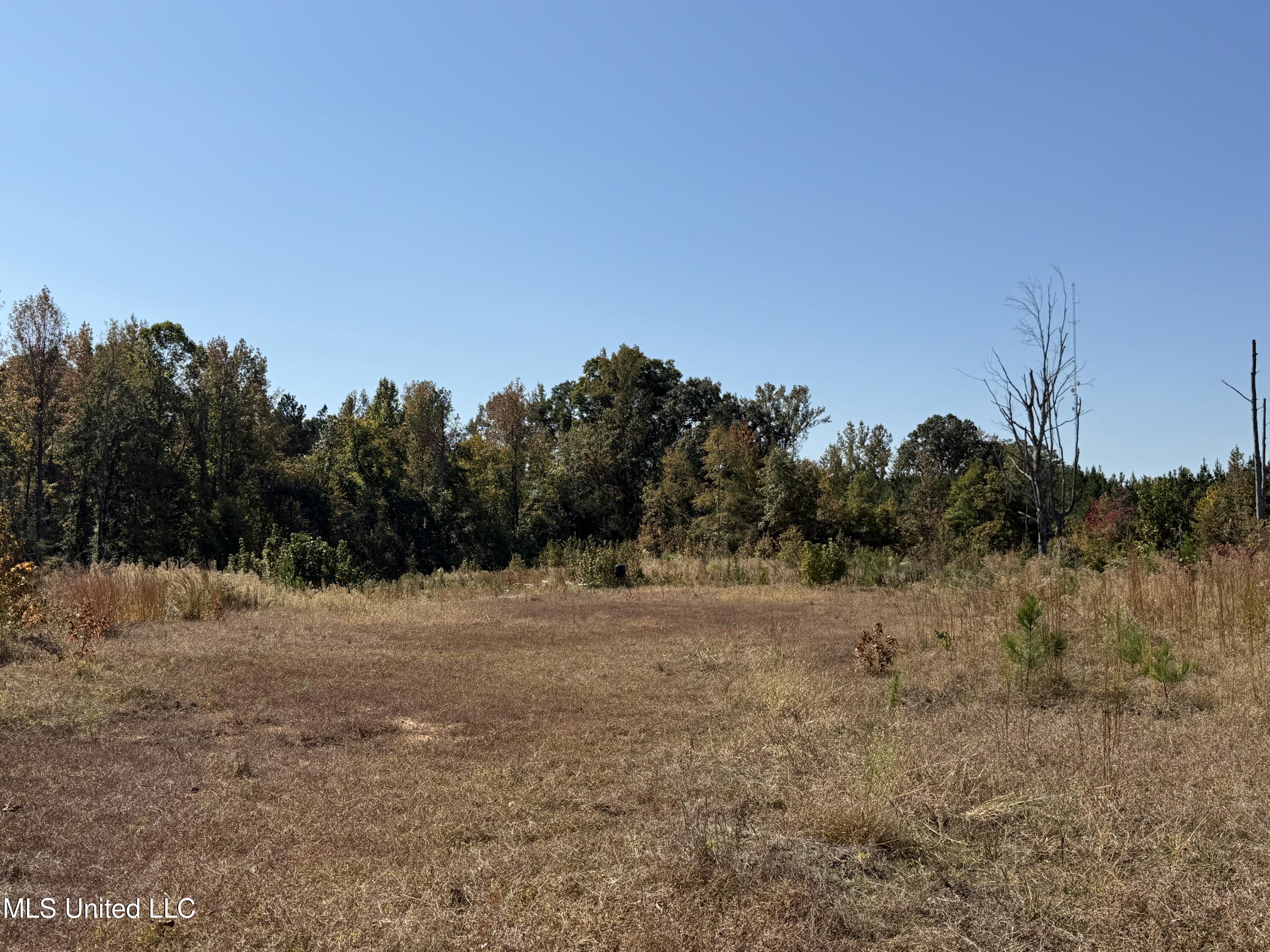 Ms-32 Water Valley, MS 38965 - Photo 14 of 21 Photo Oct 23 2024, 12 31 06 PM AVOID 281