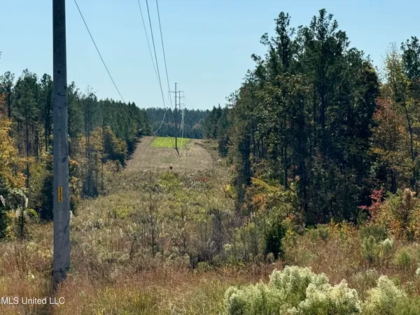 $815,871 | Ms-32, Water Valley, MS 38965