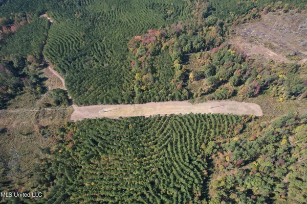 $815,871 | Ms-32, Water Valley, MS 38965